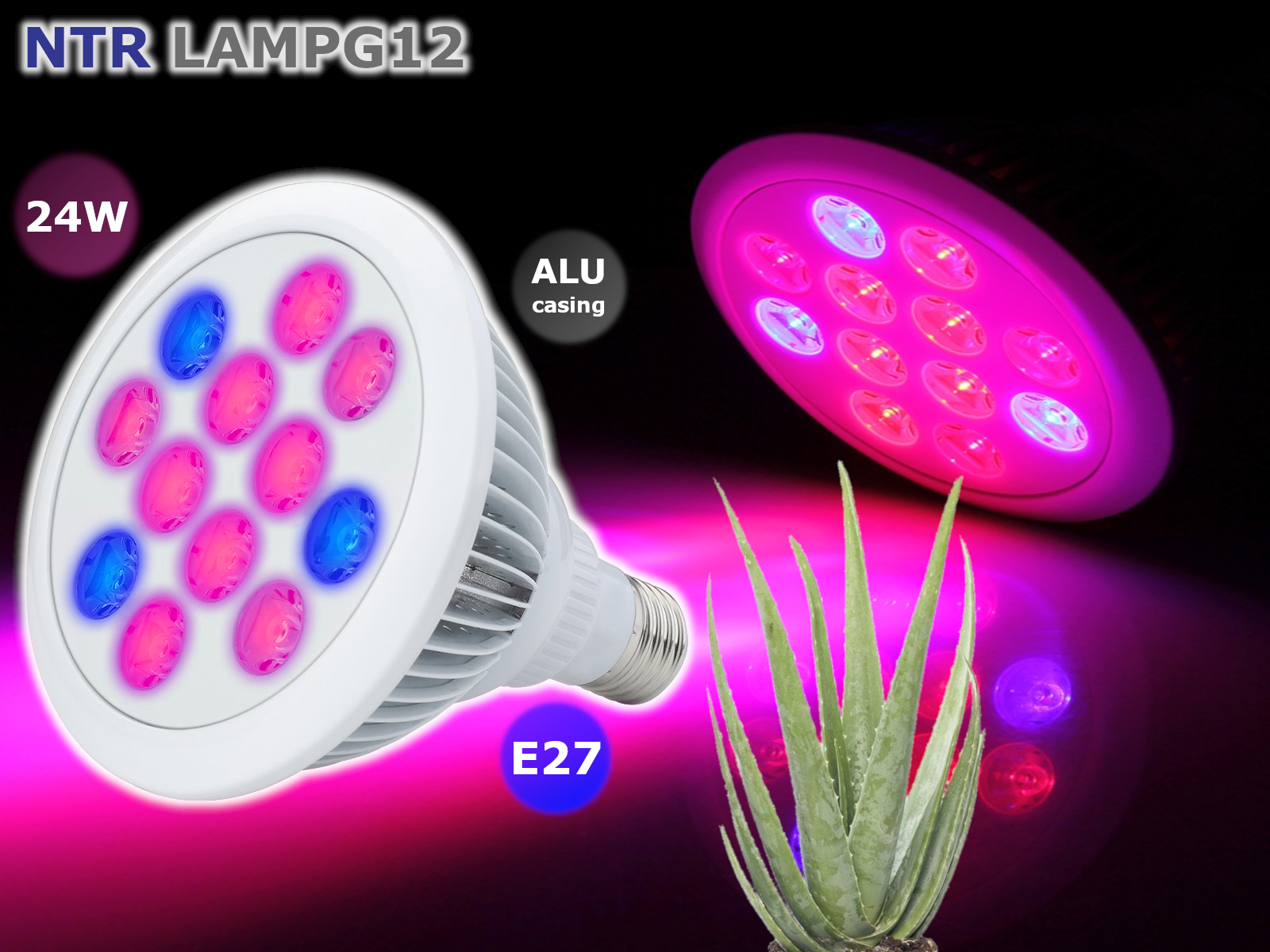 NTR LAMPG12 24W LED növény nevelő lámpa E27 foglalathoz 9x2W piros és 3x2W kék CREE LED 